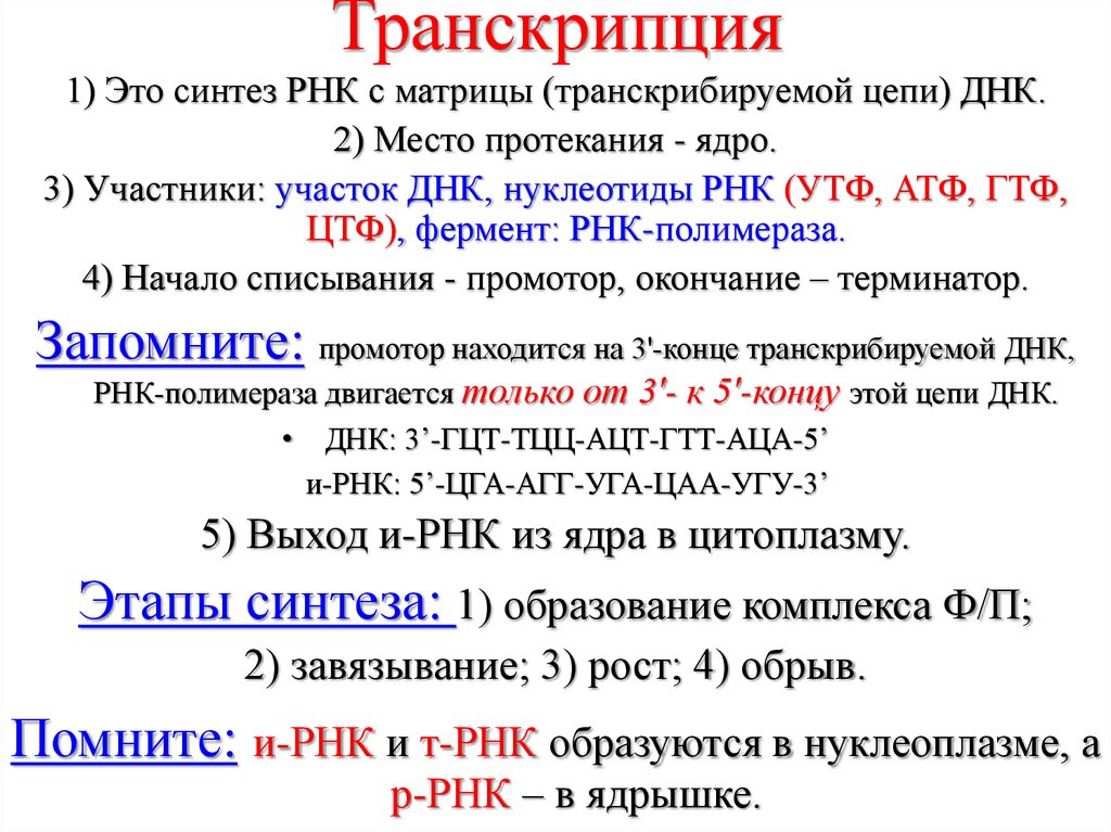 Результат транскрипции. В результате транскрипции образуется. Транскрипция что образуется.