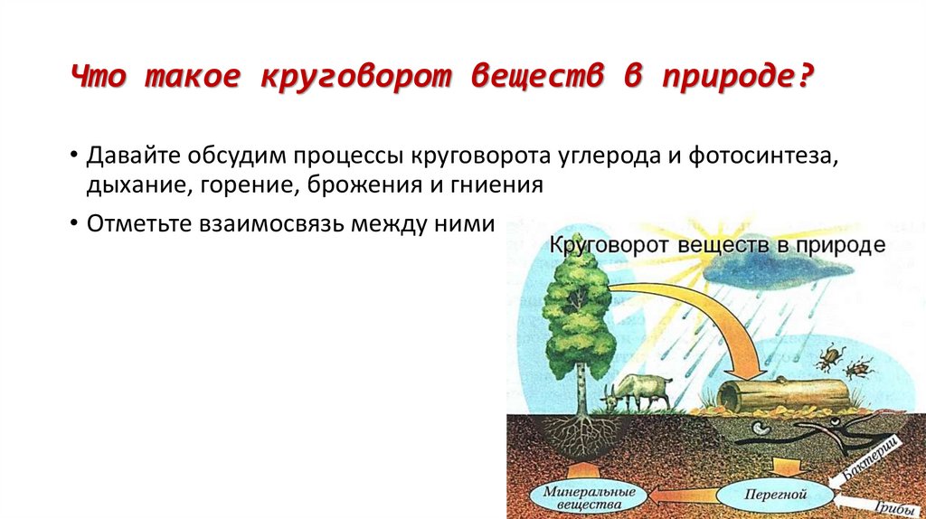 Какова роль живых в образовании почвы. Роль живых организмов в биосфере. Какова роль живых организмов в образовании почвы. Какова роль живых организмов в образовании почвы кратко. Роль живых организмов в биосфере конспект.