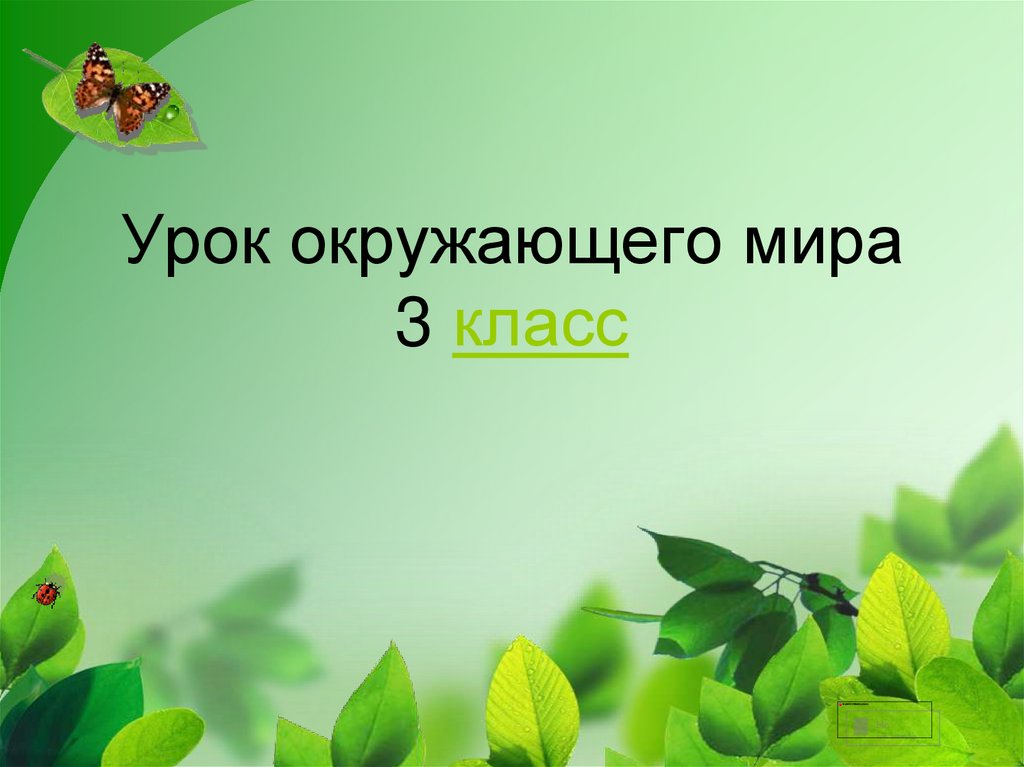 Исследовательская работа 4 класс готовые работы с презентацией по окружающему миру