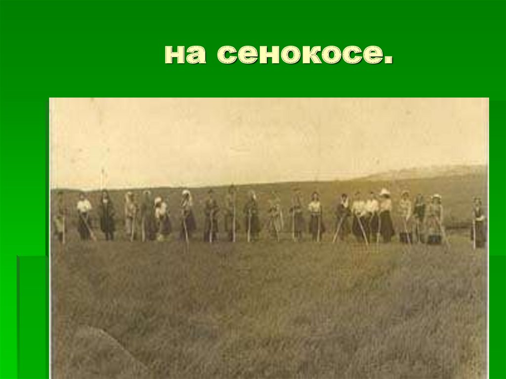 на сенокосе.