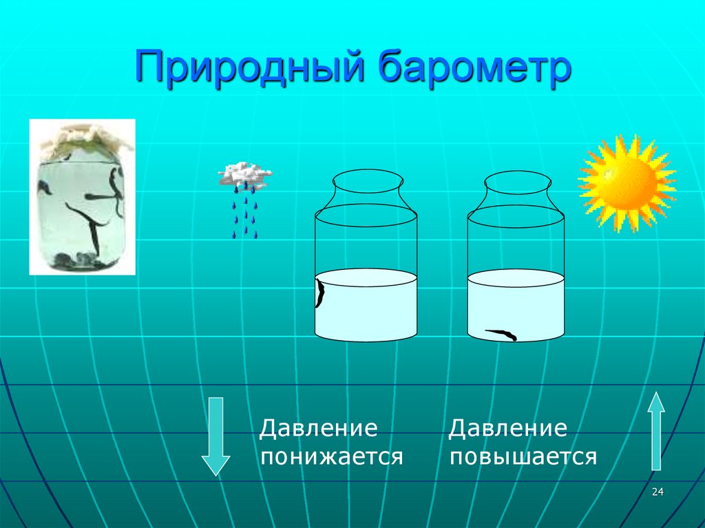 Природный барометр