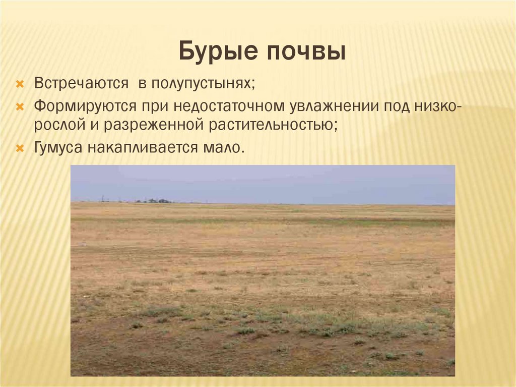 Природно хозяйственные зоны россии полупустыни. Бурые почвы характеристика. Бурые почвы свойства почвы. Серо бурые почвы свойства почвы. Почвы пустыни и полупустыни в России.