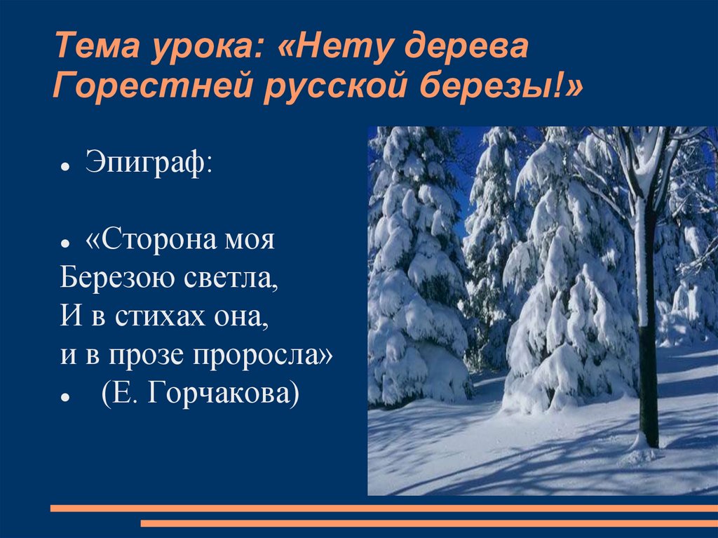 Тема урока: «Нету дерева Горестней русской березы!»