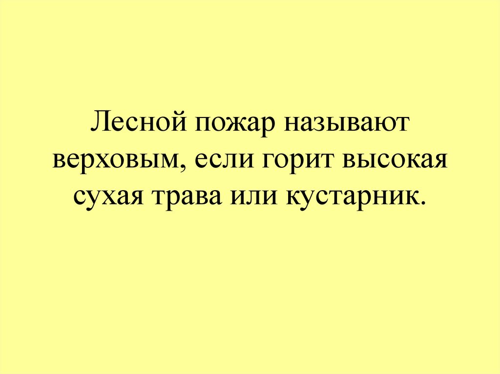 Лесной пожар называют верховым, если горит высокая сухая трава или кустарник.