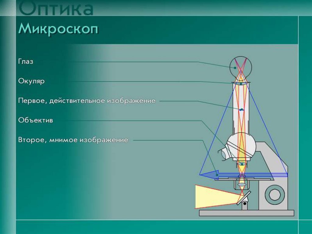 Изображение окуляра. Строение микроскопаптика. Оптическая схема окулярного микроскопа. Строение окуляра микроскопа. Строение микроскопа схема линз.