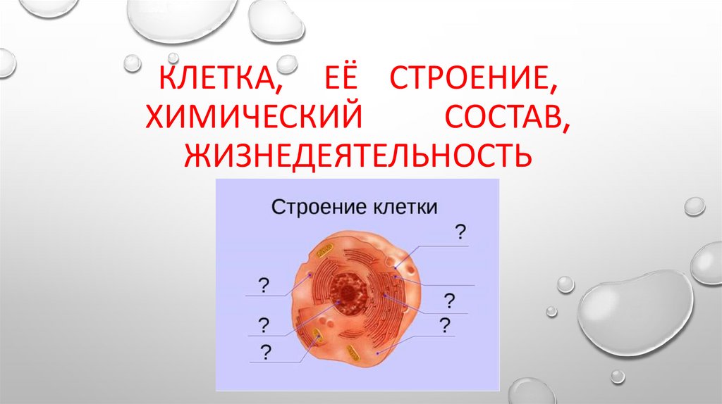 Химическое строение это