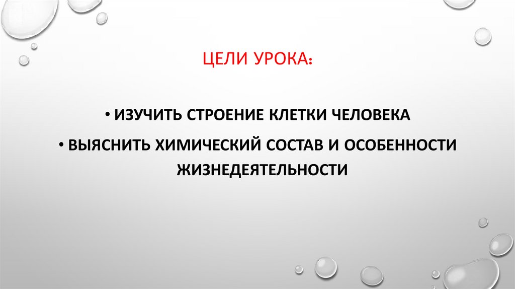 Цели урока: