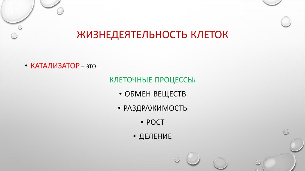 Жизнедеятельность клеток