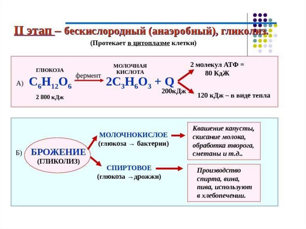 Атф кдж. Формула 2 этапа энергетического обмена. Анаэробный гликолиз формула. Схема кислородного этапа клеточного дыхания. Формула второго этапа энергетического обмена.