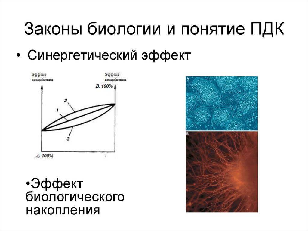 Законы биологии. Законы по биологии. Биологическое накопление. Эффект биологического накопления связан. Закон биологического накопления.