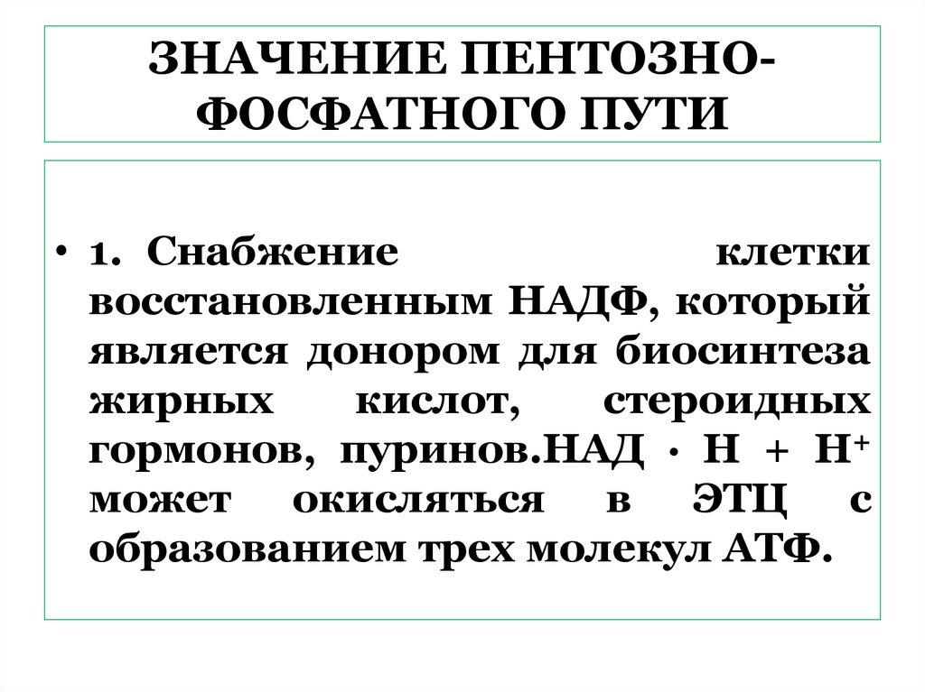 ЗНАЧЕНИЕ ПЕНТОЗНО-ФОСФАТНОГО ПУТИ