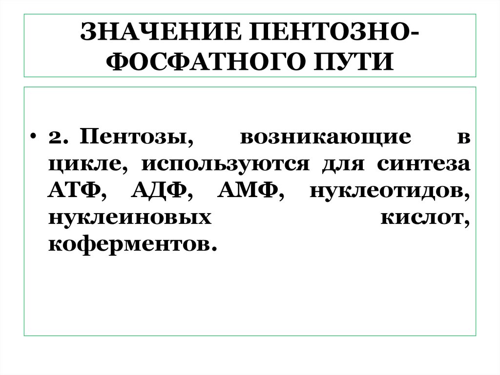 ЗНАЧЕНИЕ ПЕНТОЗНО-ФОСФАТНОГО ПУТИ