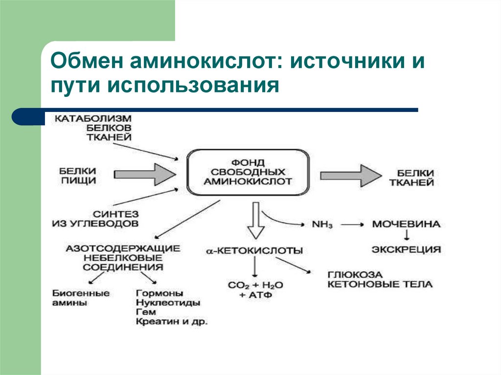 Путь обмена