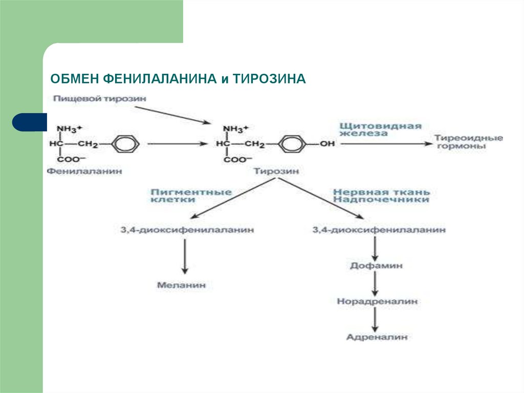 Путем обмена