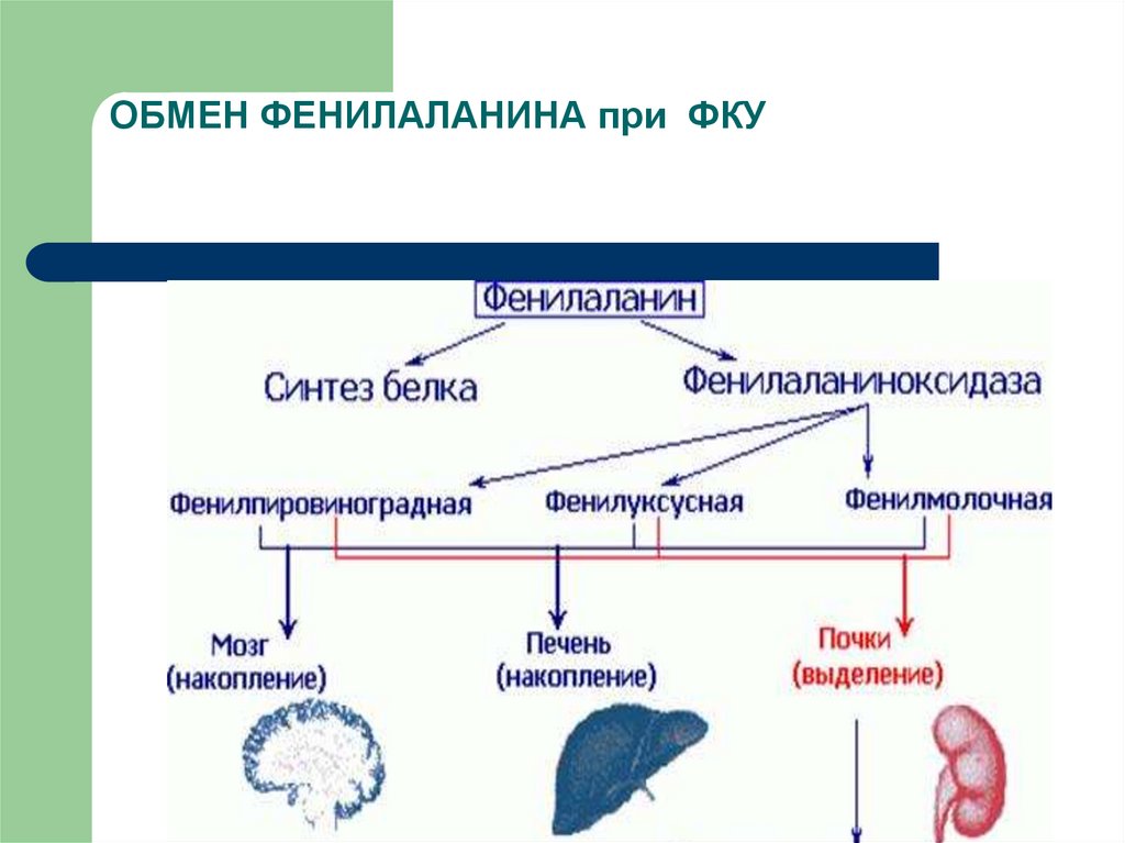 Путем обмена