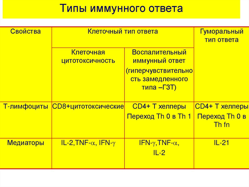 Основы кинетики клеточных популяций