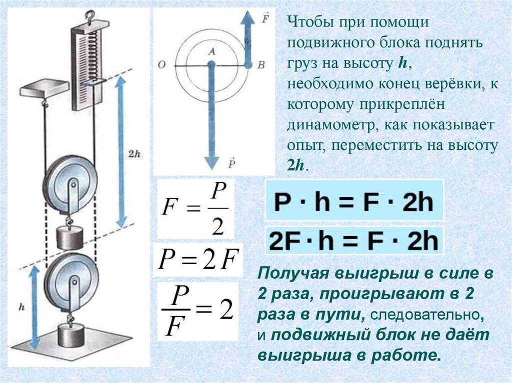 Золотое правило простых механизмов. Золотое правило механики 7 класс физика. Равенство работ при использовании простых механизмов. Блоки золотое правило механики физика 7 класс. Силы в механике 7 класс.