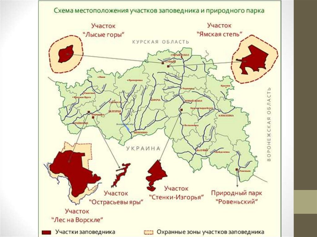 Презентация по географии заповедник белогорье