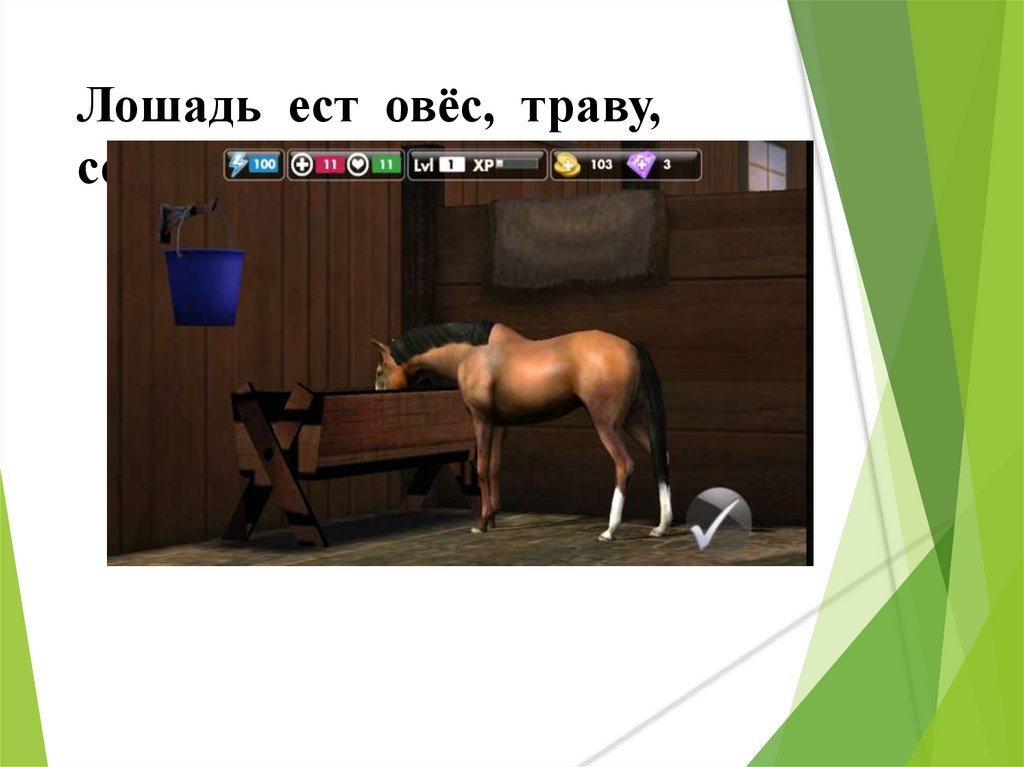 Лошадь ест овёс, траву, сено