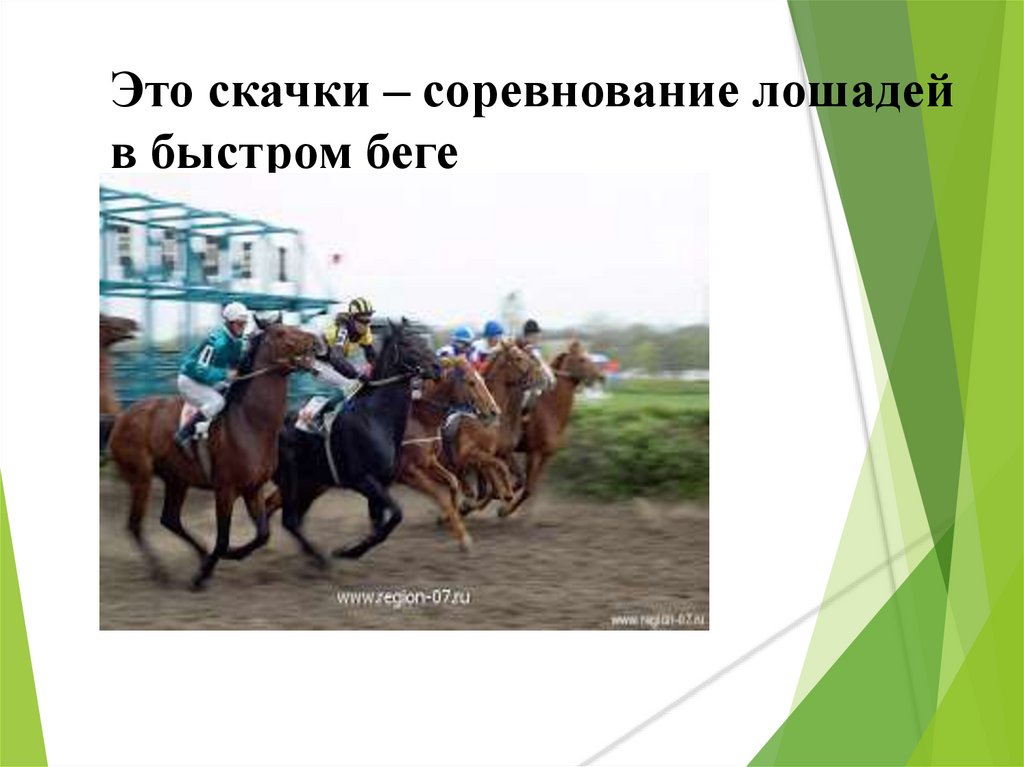Это скачки – соревнование лошадей в быстром беге