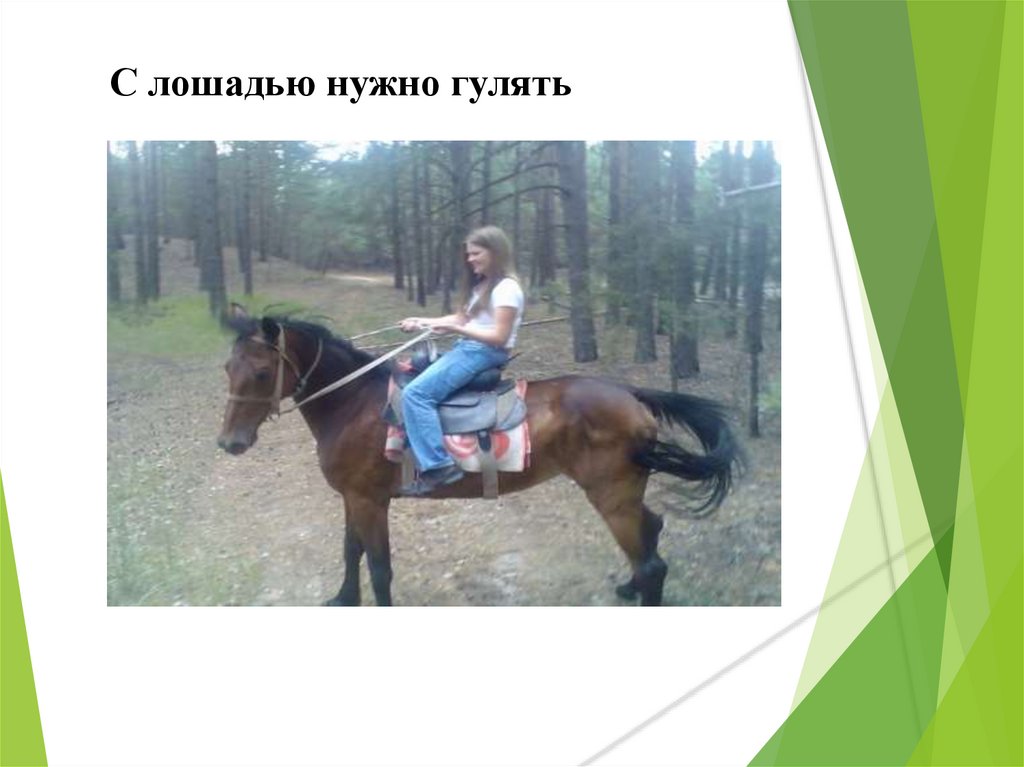 С лошадью нужно гулять