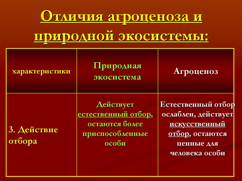 Агроэкосистема в сравнении с естественной экосистемой менее