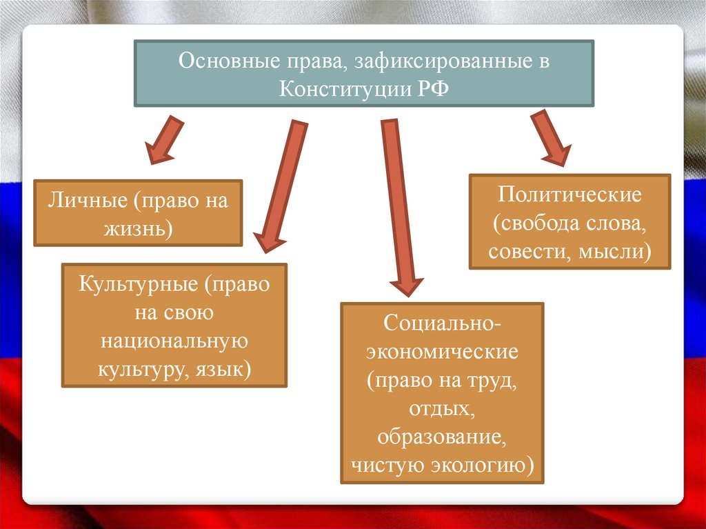 Форма и функции конституции