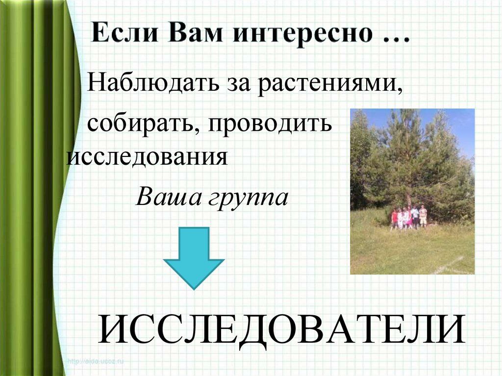 Если Вам интересно …