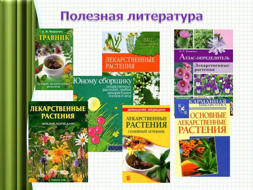 Полезная литература