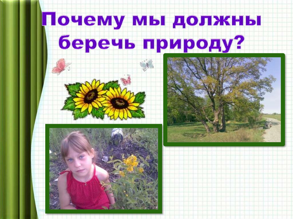 Почему мы должны беречь природу?