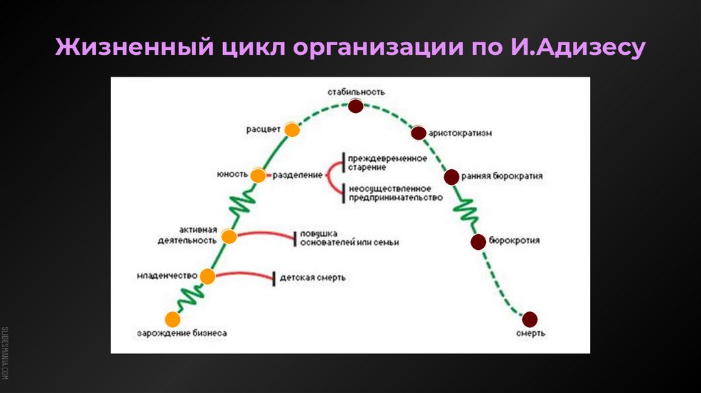 Цикл организации