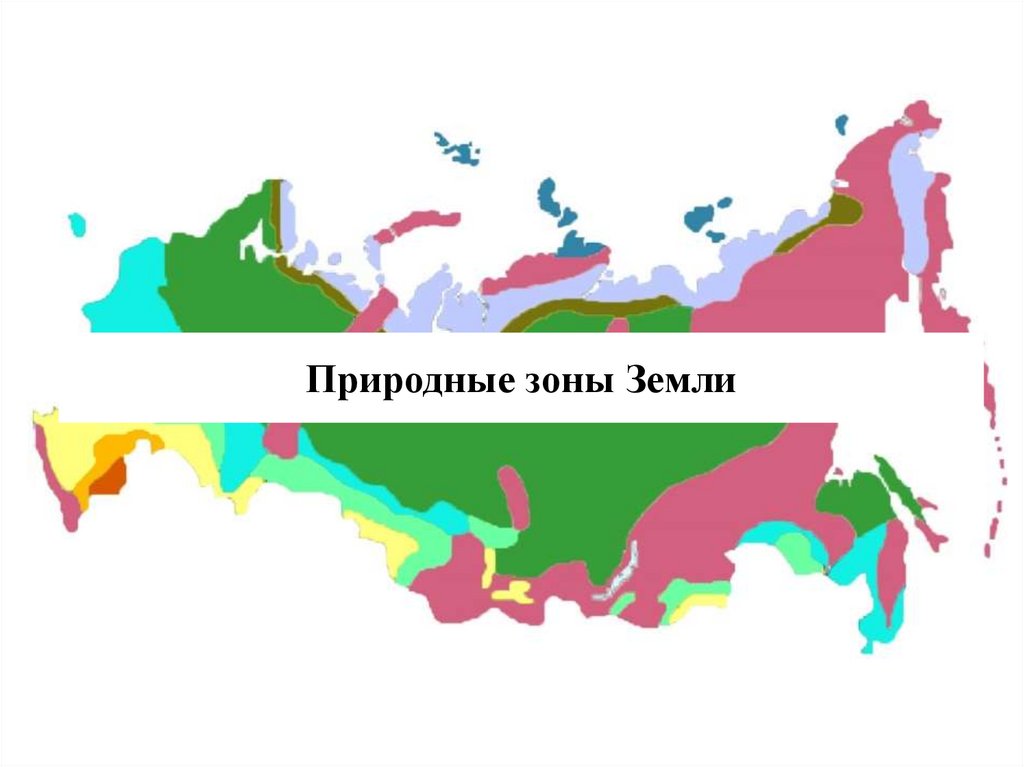Природные зоны Земли (1) - презентация онлайн