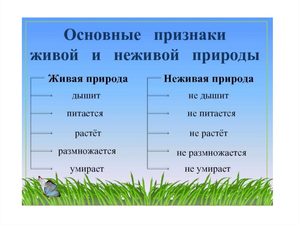 Тела живой природы. Признаки объектов живой природы. Признаки живой природы 2 класс окружающий мир. Таблица Живая и неживая природа. Что относится к живой и неживой природе.