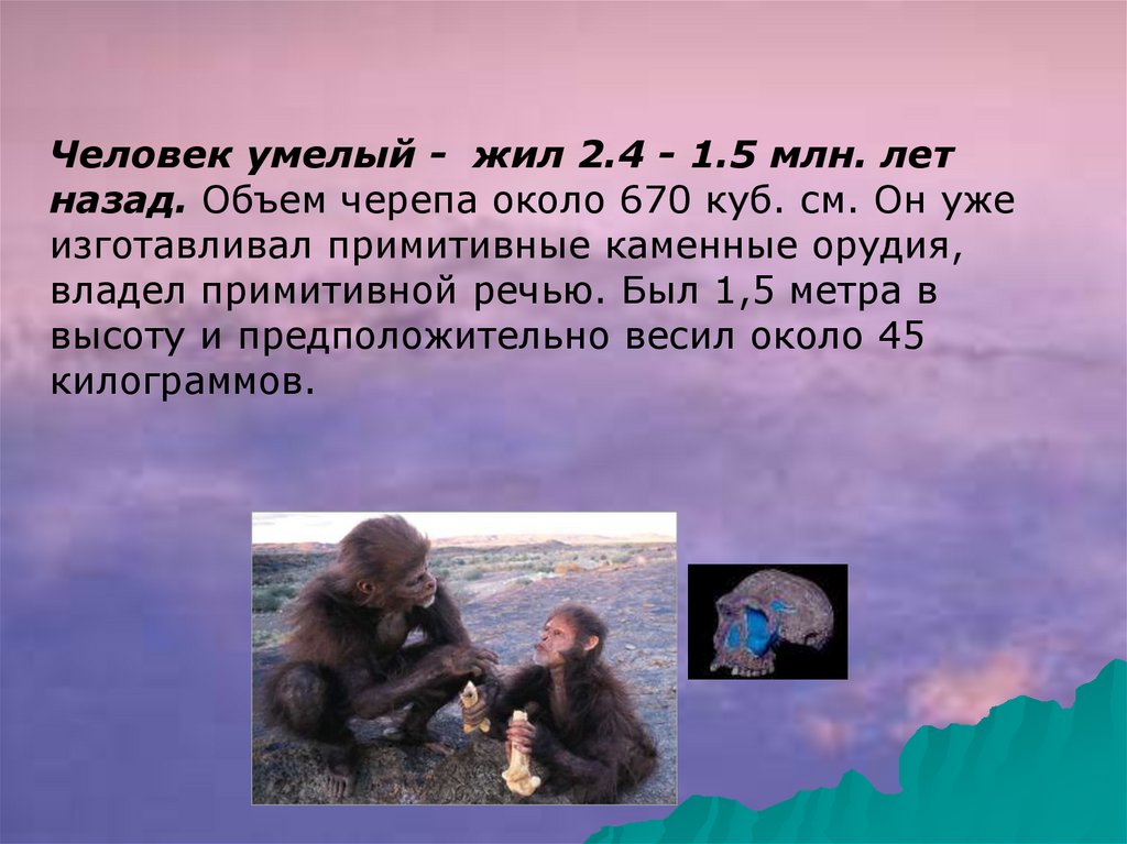 Происхождение и эволюция человека - презентация онлайн