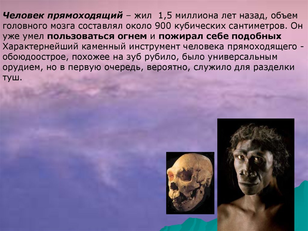 Происхождение и эволюция человека - презентация онлайн