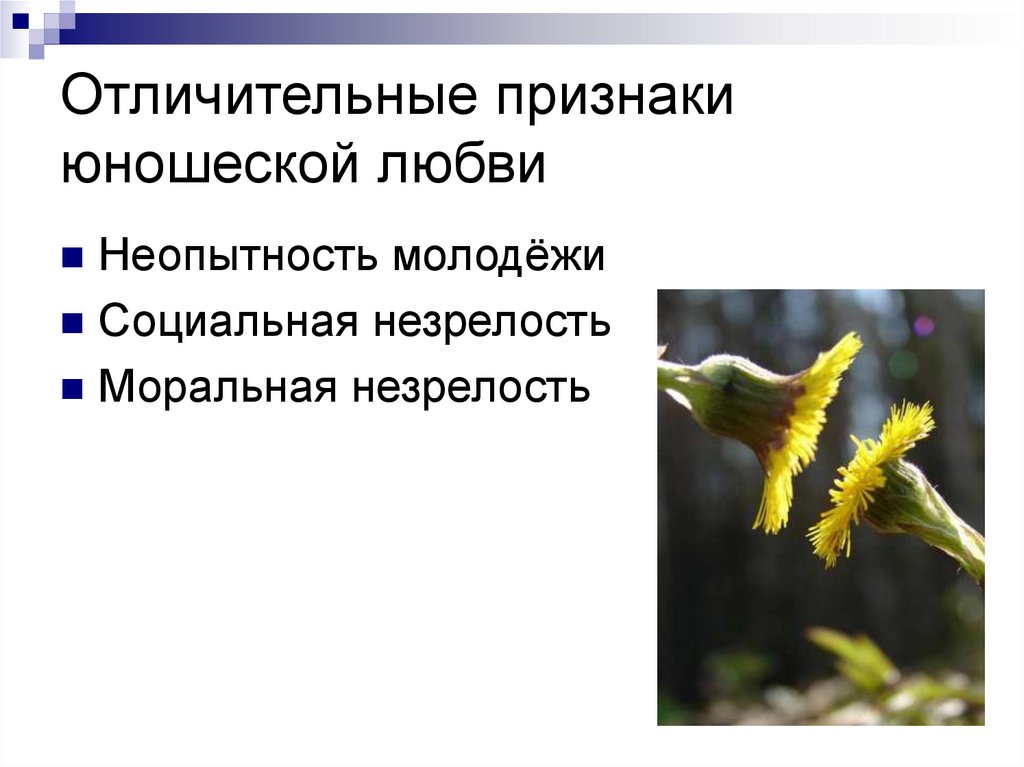 Отличительные признаки юношеской любви