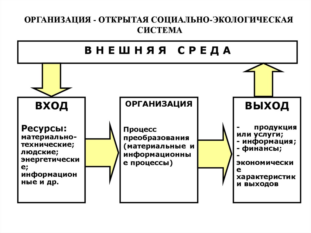 Организованного на базе