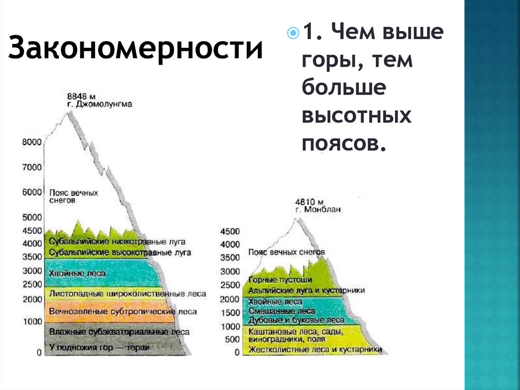 Высотная поясность - презентация онлайн