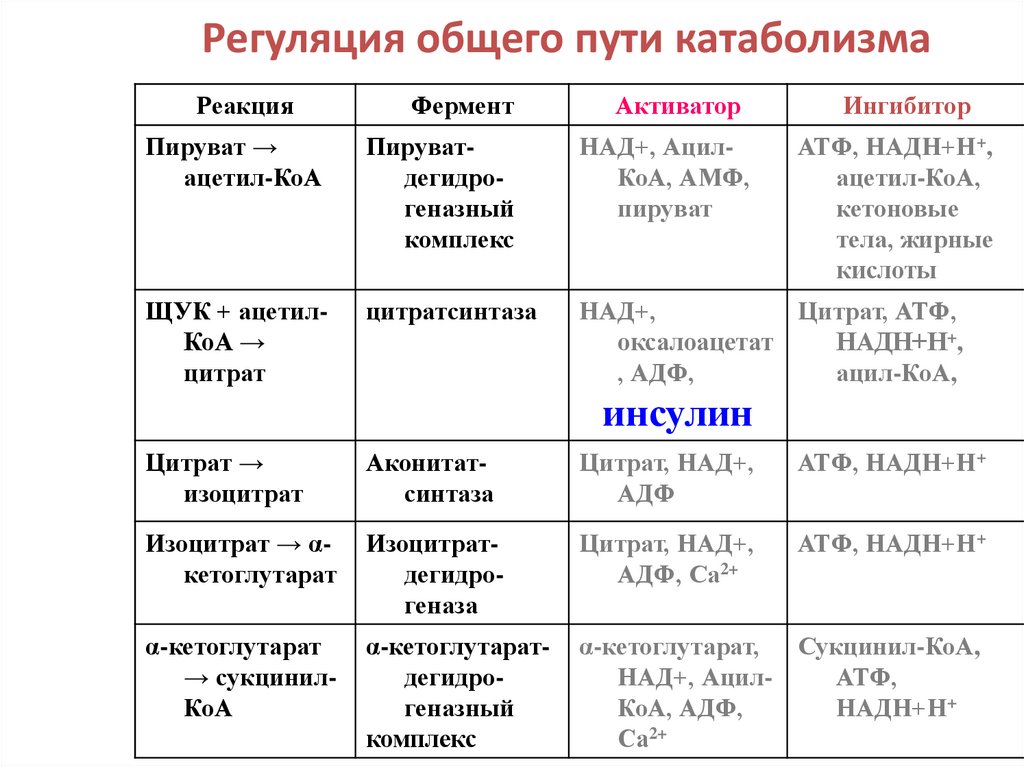 Регуляция углеводного обмена схема