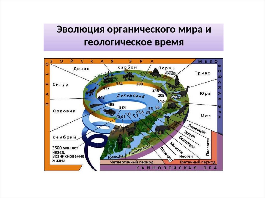 3 этапа развития жизни на земле. Этапы развития жизни. Эволюция и развитие жизни на земле. Этапы развития земли.