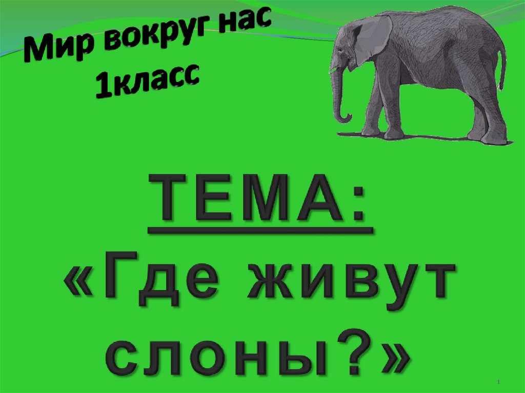 Окр мир где живут слоны 1 класс. Где живут слоны. Где живут слоны презентация. Тема: " где живут слоны". Где живут слоны задания для 1 класса.