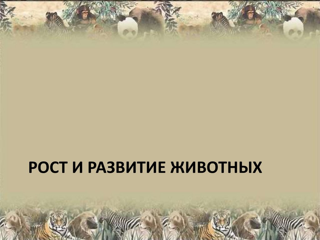 Рост и развитие животных 10 класс презентация. Рост и развитие животных презентация. Рост и развитие животных. Рост и развитие животных тест 10 класс.