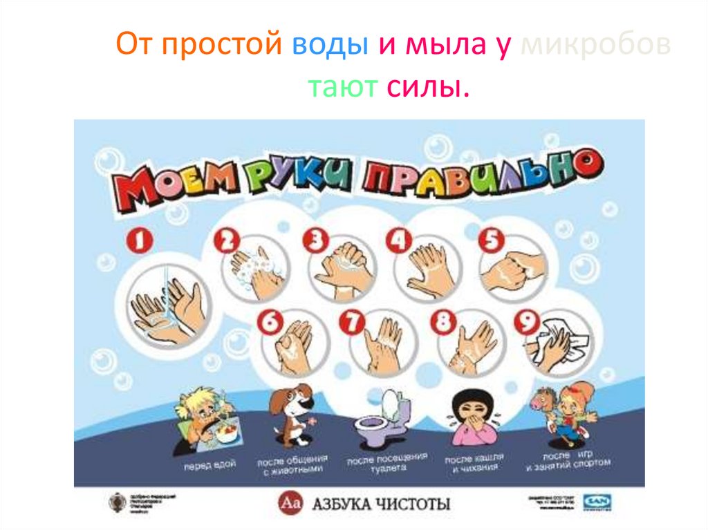 От простой воды и мыла у микробов тают силы.