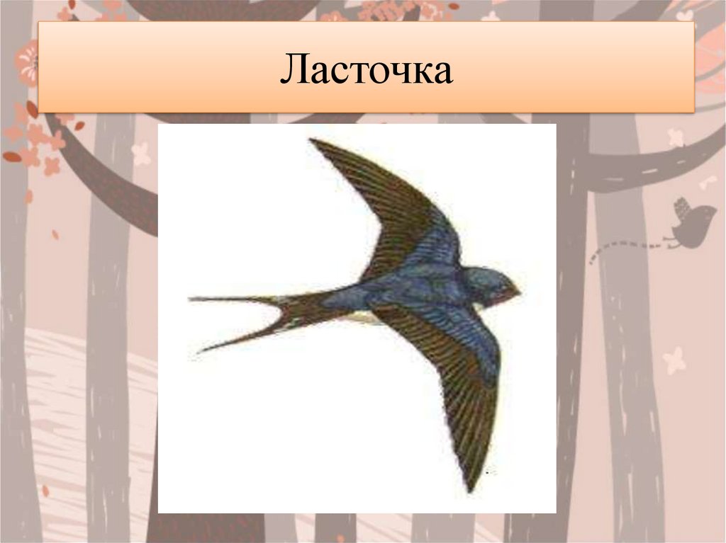 Ласточка