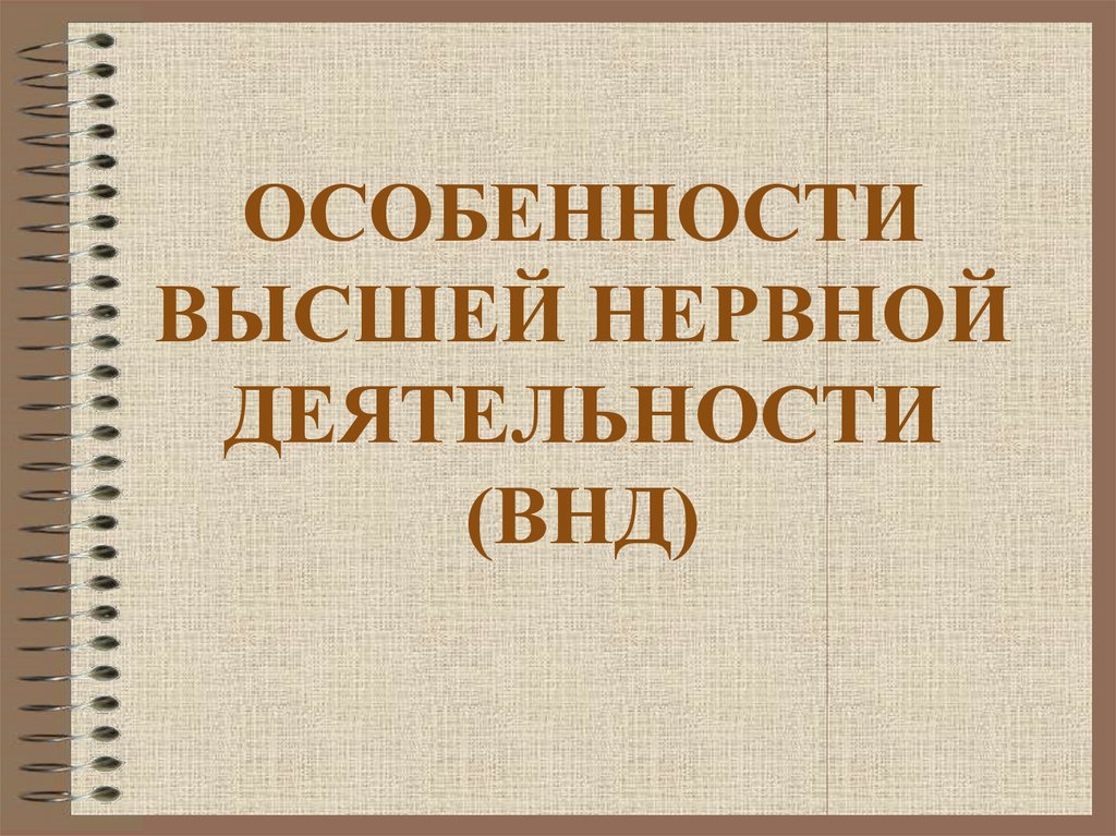 Особенности высшей