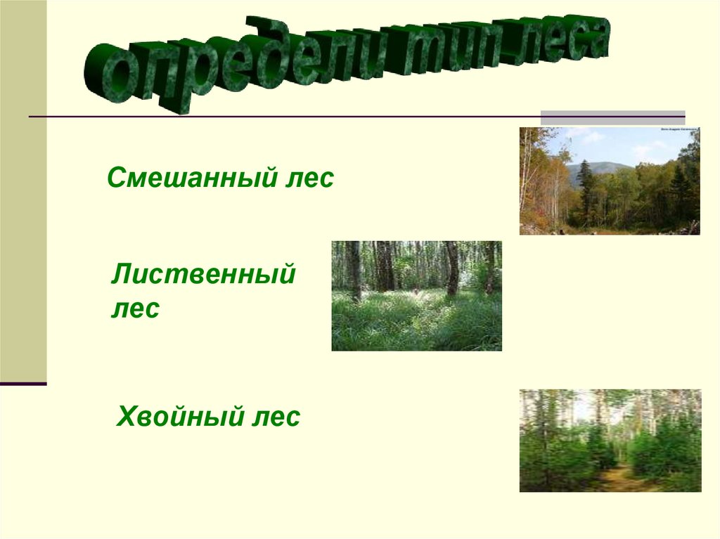 Какие виды лесов существуют. Презентация по окружающему миру 2 класс лес. Охрана лиственных лесов. Слова на тему лес. Кроме лиственных лесов.