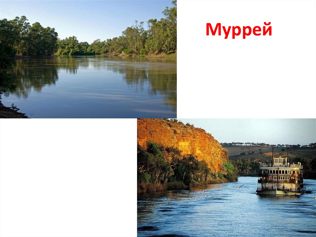 Направление реки муррей. Река Муррей. Муррей в Австралии. Устье реки Муррей. Речная система реки Муррей.