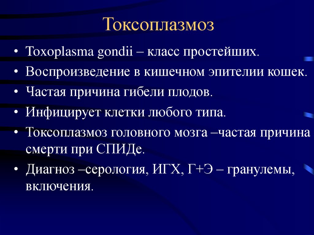 Токсоплазмоз это. Токсоплазмоз патанатомия. Токсоплазмоз головного мозга.