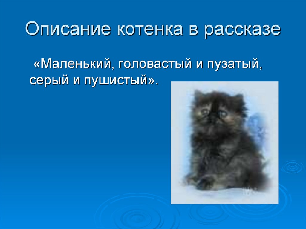 Краткое содержание котенок. Описание котенка. Как описать кота 5 маленькими предложениями.