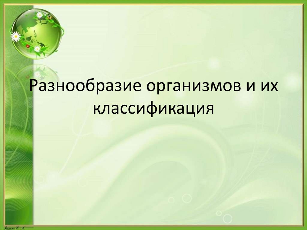 Разнообразие организмов и их классификация 5 класс